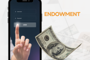 Endowment